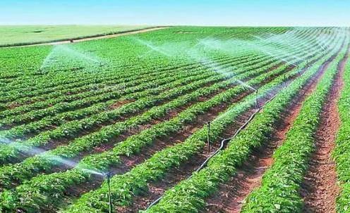 鸡巴干逼视频农田高 效节水灌溉